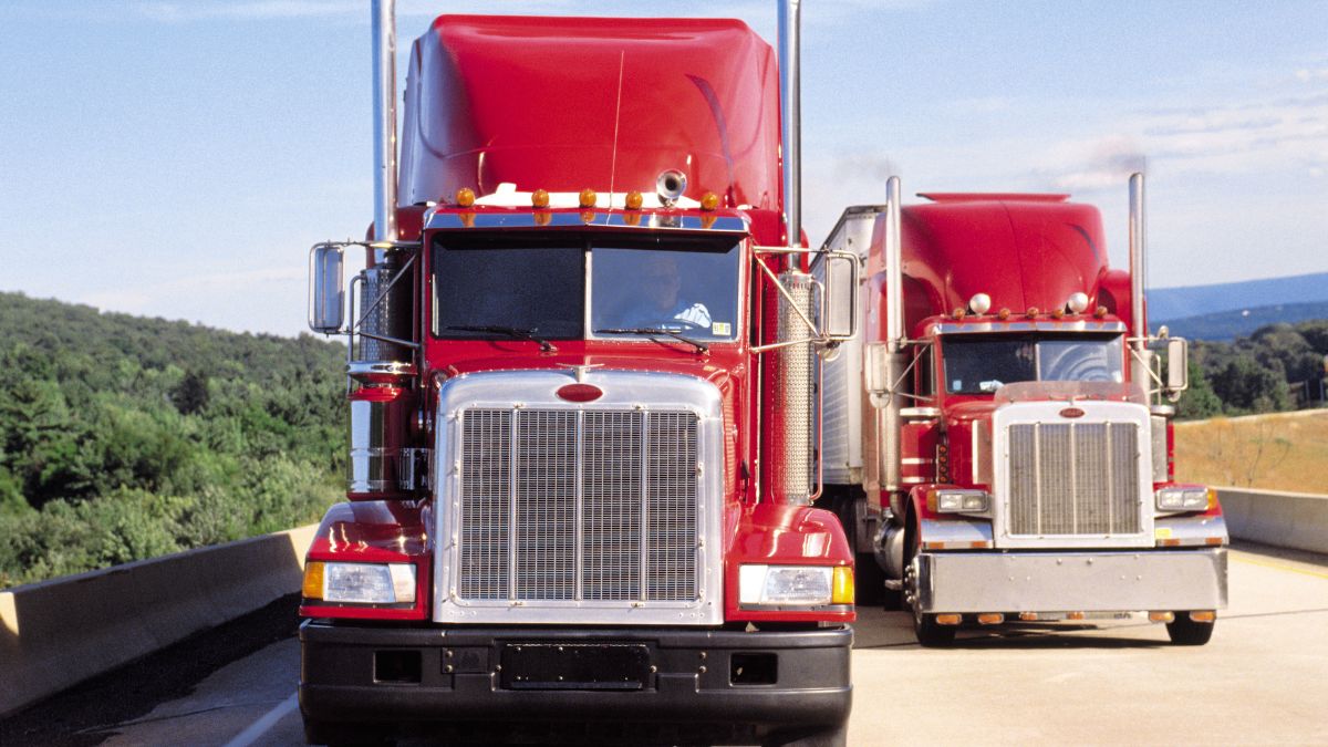 How Does a Transportation Management System (TMS) Improve LTL Shipping?